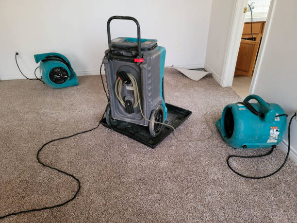 Best Flood restoration services  in Wolfe City, TX