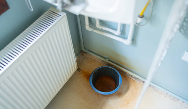 Best Residential water damage restoration  in Wolfe City, TX