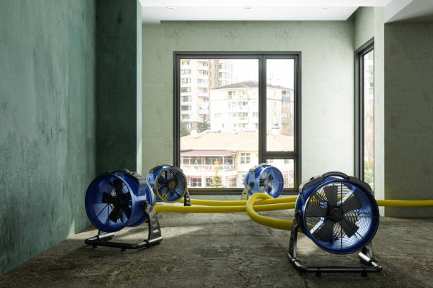 Best Water damage restoration near me  in Wolfe City, TX